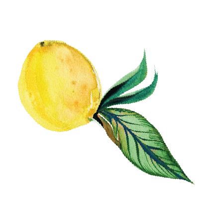 Limoni delle Cinque Terre