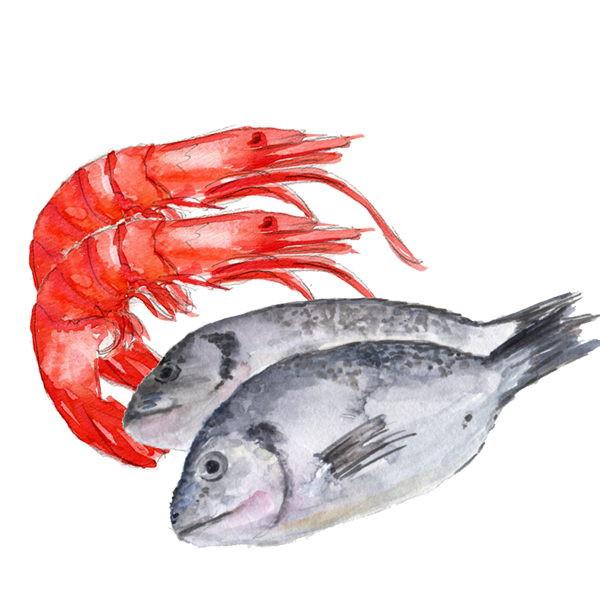 Pesce fresco